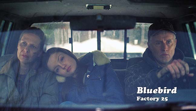 BLUEBIRD is a well-made indie drama about a tragedy in a small town.