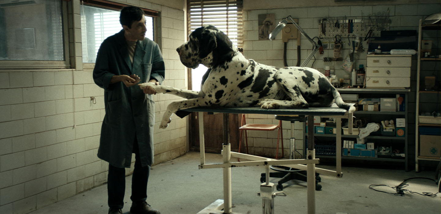 Matteo Garonne's DOGMAN stars Marcello Fonte in a star-making performance